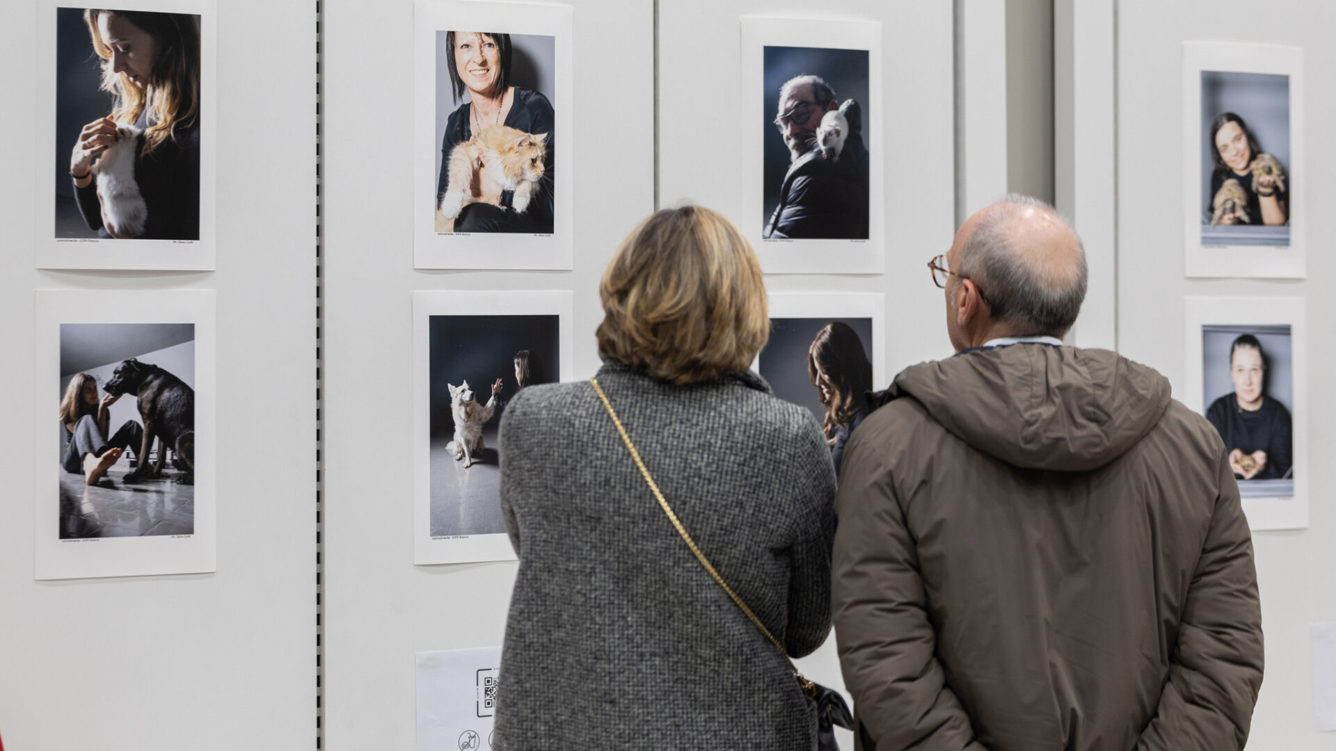 Foto di chaoslab per evento Enpa presso Elnòs